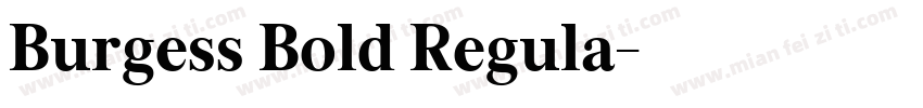 Burgess Bold Regula字体转换